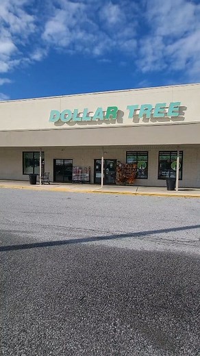 5.6K views · 105 reactions | Grab one of these from Dollar Tree and make it GLOW!! #craftersgonnacraft #dollartreecrafts #dollartree #christmascrafts #thediystruggle #diycrafts #craftideas #christmasornaments #decoupage #decoupageart | The DIY Struggle | Facebook