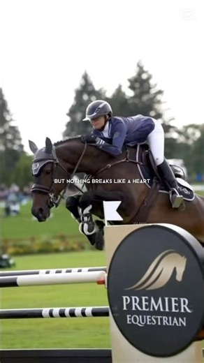 #horse #equestrian #pony #jump #animal #dressage #ridnig #crosscontry #horsebackriding #❤️