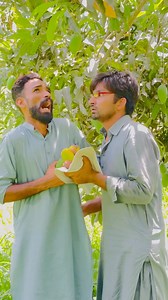 14K views · 66 reactions | Alarm System In Mango 省 | Muhammad ijaz | Facebook