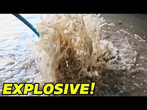 This blocked drain was so rotten, the wife had to hose me down