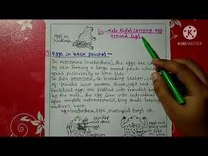 Parental care in Amphibia||bsc