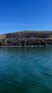 The ferry pulled away from the Irish coast, and as the cliffs of home blurred into the mist, a quiet ache settled in my chest. The cries of gulls faded behind me, replaced by the low hum of the sea, indifferent to my leaving. Each wave seemed to carry a memory—laughter in rain-soaked fields, songs sung too late at night, the warmth of familiar voices. Ireland, green and wild and heartbreakingly beautiful, slipped further from view, and I whispered a soft goodbye no one would hear… | The Irish Ab