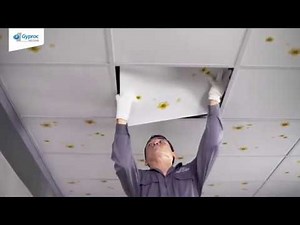 Gyproc Proclean - T bar ceiling installation