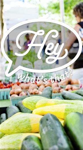 Fennel fans and fennel-first timers, this one's for you.🌿 With it's mild, licorice-like flavor and way more versatility than it gets credit for, fennel adds a fresh pop to salads, roasts, and cozy winter meals. Look for firm bulbs with bright green fonds, then let your kitchen (and maybe a few of our tips) work its magic. Find the freshest fennel at the famers market this week!🥗✨ | Fillmore Farmers' Market