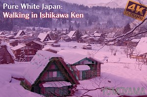 56K views | 【Japan Tour in SHIRAMINE Ishikawa】 The staff of YOMOYAMA walked around SHIRAMINE in Ishikawa prefecture, which is known for its heavy snowfall in Japan. It is a village in the mountains that has been certified as a preservation area for buildings that has continued since the Edo period, which began in the 1600s. Please check it out! | Yomoyama | Facebook