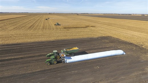 Put the Corn in The Bag: How Grain Bagging Can Smooth Out Harvest Bottlenecks
