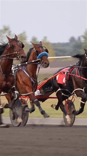 1.7K views · 57 reactions | Join us for the Mohawk Million live from Woodbine Mohawk tomorrow, September 20th, on FanDuel TV! | FanDuel Racing | Facebook