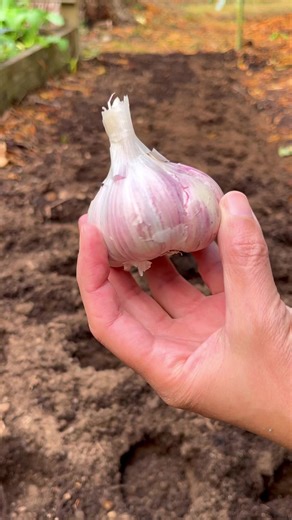 1.1M views · 11K reactions | Good morning! Hope you had a good...