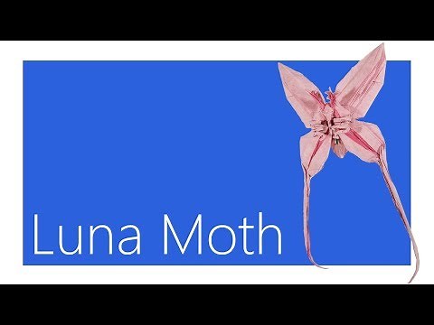 Luna Moth Origami Tutorial (Jason Ku)
