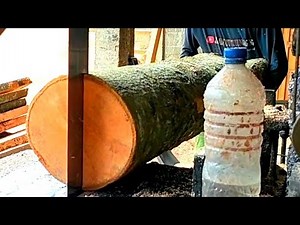 Not Old Enough,,,!! This Durian Wood is Processed by Scout Stick Blocks..