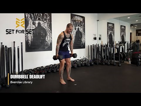 Dumbbell Deadlift | SFS Exercise Library