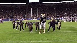 Cosmo the Cougar has all the moves as he joins BYU cheerleaders