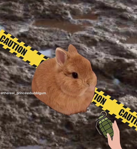 Evil Bunny Breaks the Rules in a Silly Adventure
