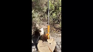 Watch SPEED FORCE 10 Ton Log Splitter Kindling Firewood Splitter on Amazon Live