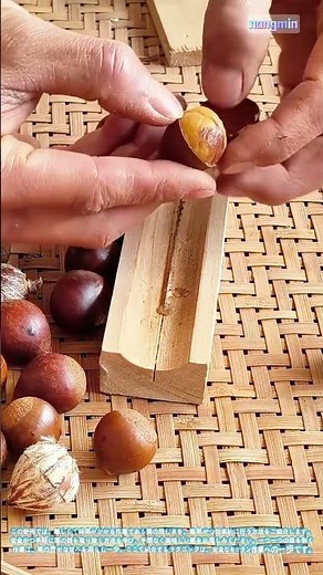 効率的で安全：簡単栗の殻むき