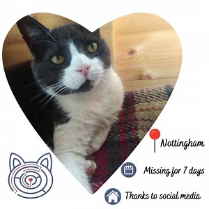 Here are the furry family members who found their way back home this month! 💗 | Animal Search UK