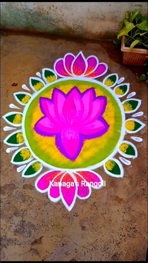 தாமரை பூ கோலம் #thamaraipookolam #thamarai poo kolam #shorts #shortsfeed #kanagasrangoli
