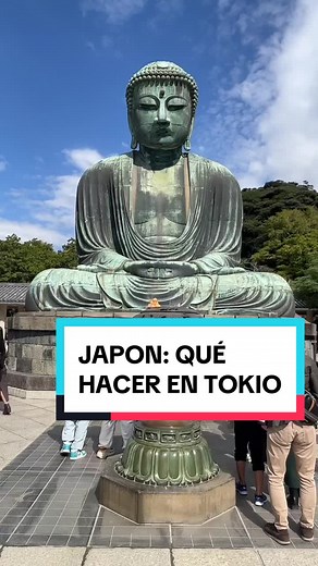 QUÉ HACER EN JAPÓN? 🏯🍜 GUIA RAPIDA: TOKIO 🍙 🗓️Este es un resumen del itinerario que armé para mi viaje a Japón en Octubre 2023 visitando Tokio (11 noches), Kioto (4 noches) y Osaka (5 noches). En mi perfil van a encontrar otro reel con precios estimados por categoría 🤑 Y más info en destacadas ✨ 🎎Recomendaciones: ✅Asakusa, ✅Templo Senso-Ji, ✅Akihabara, ✅Sinjuku, ✅Harajuku, ✅Shibuya, ✅Ginza, ✅Skytree Tower, ✅Tokyo Tower, ✅TeamLab, ✅Rainbow Gundam, ✅Ikebukuro, ✅Shimbashi, ✅Hama-rikyu Gardens