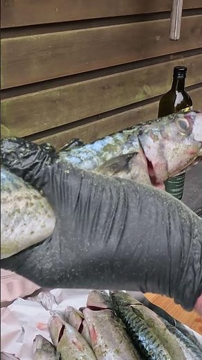 🐟 How to properly skewer a mackerel – perfect for the grill & smoker! 🔥
