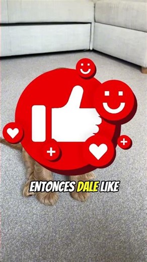 What really happens if the glass of an infinity pool breaks? 😱