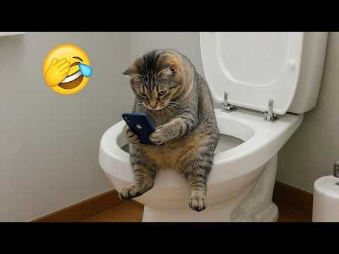 Funniest Cats and Dogs Clips 2026😼🐶Try Not To Laugh😜