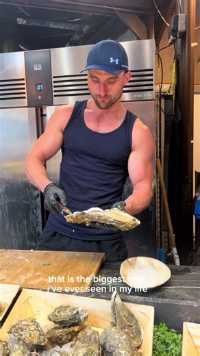 Biggest Oyster I’ve Ever Seen: Giant Oyster Discovery