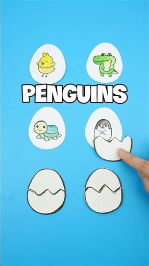 Animals from Eggs 🥚🐢🐔