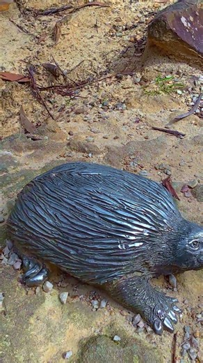 Look What I Found! Mystery Animal Statue 😲