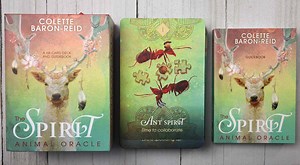 Spirit Animal Oracle Review: Captivating Guidance Deck