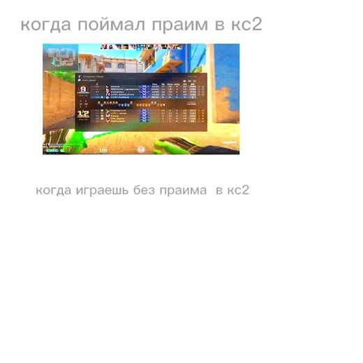 Эдит Мемы: Рекомендации по Лучшим Мемам