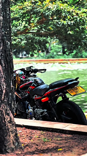 Customized Bajaj Pulsar 135LS Showcase