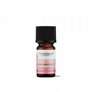 Rose Absolute Oil | Tisserand Aromatherapy