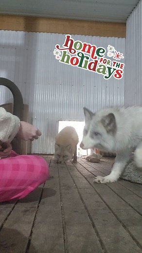 1.1K views · 162 reactions | Please join us in welcoming the newest...