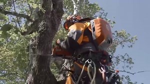 Our professional-grade, battery-powered chainsaws are lightweight, gas-free & all about performance. #HusqvarnaGreen | Husqvarna