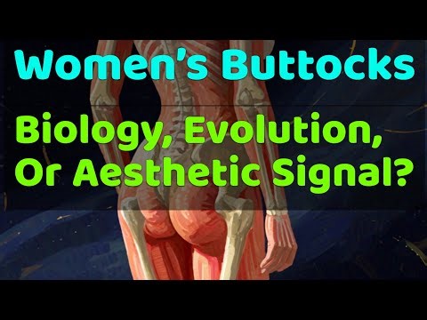 Women’s Buttocks: Biology, Evolution, Or Aesthetic Signal?