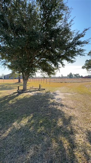 Mood For Sure . 49 Degrees, Sunny , Windy love it !!! 🖤✨ Also parents backyard view is priceless. #louisiana #countryside #countrysidecottage #explorepage✨ #nature