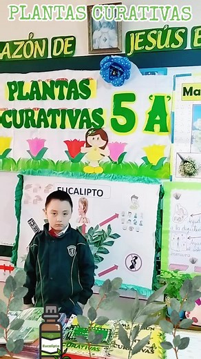 Exposición de Plantas Medicinales para Niños - Pequeños Gigantes