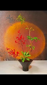 Pruning of plum blossom branches Do you prefer arrangements made with tree branches or bark and plum blossoms? #flowerarranging #NiZhixiang #OrientalNaturalStyle #ChineseFlowerArrangement #PlumBlossomFlowerArrangement | Asian bonsai