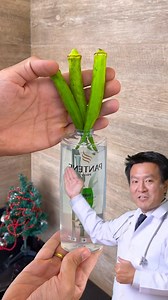 117K views · 4K reactions | The hair was falling out! So, I used this, see what happened  | Tavares good Tips | Facebook