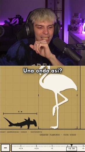 measurements3