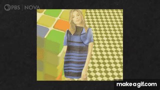 Your Brain: Perception Deception | Full Documentary | NOVA | PBS on Make a GIF
