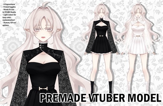 Female Vtuber Model | Live2d Rigged, Vtube Studio Ready, Color Customizable, Premade - Etsy