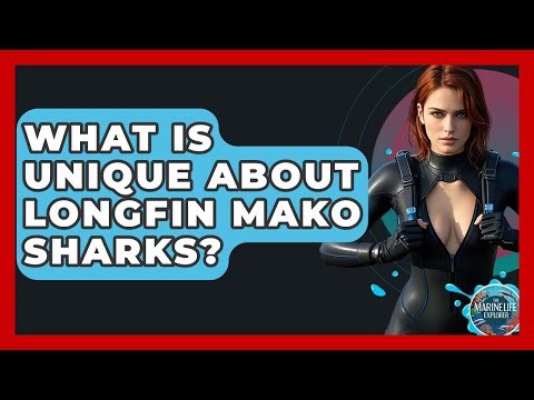 What Is Unique About Longfin Mako Sharks? - The Marine Life Explorer