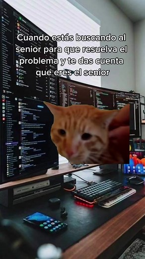 #MemeCut estoy candado jefe 😭😂 #programacion #ingeniero #trabajo #trabajoremoto #homeoffice #programador #senior #junior #Meme #MemeCut