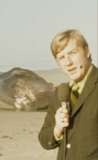 -🐋🧨 The crazy story of the Oregon WHALE EXPLOSION