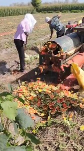 205K views · 605 reactions | Amazing agricultural machinery Our group: Interesting Life | Balance Of Nature | Facebook