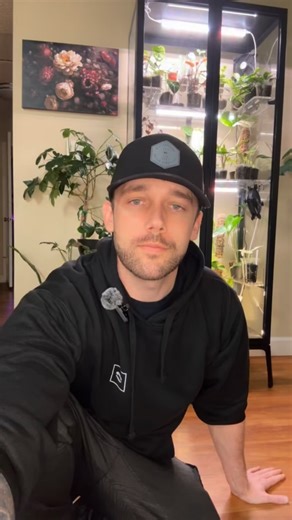 Kyle White on Instagram: "Upgraded my grow-light game ✨ Unboxed the T40 grow light from @barrina_us and hung it right next to my Milsbo greenhouse cabinet. The plants wasted zero time soaking it up! Ended the reel with a little vibe check photo because the new lighting + the tiny plant zoo + my cat posing in the corner… yeah, she approves 😼🌿 #barrinat40 #growlightsetup #milsbogreenhouse #ikeamilsbo #plantcabinet #indoorplants #plantreel #plantcaretips #growlighttips #houseplantcommunity #philo