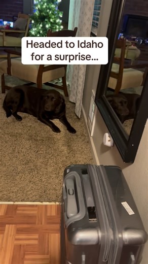 Ashley Wood on Instagram: "Nine years without my mom… but her sister still feels like a piece of her. I watched the way she and her sister loved each other with kindness, respect, and steady devotion. They taught me what sisterhood should look like. So when the invitation came for my aunt’s 90th birthday, I knew we had to show up. With my cousins’ blessing, we kept it a surprise — packed our bags, met in Salt Lake, and made the trip together..as sisters. A quiet, meaningful mission to celebrate