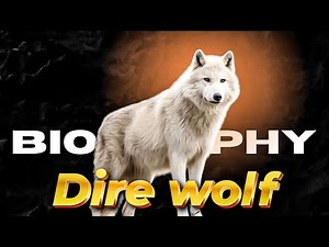 This Giant Wolf Ruled North America – The Dire Wolf Story!"