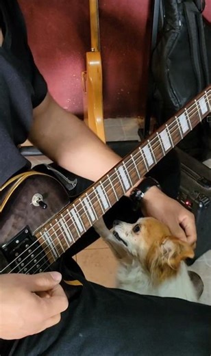 you could be mine guitar solo cover